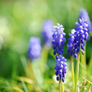 normal_20042011obfwetterhsaktivnews_003.jpg