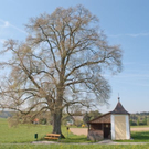 normal_20042011obfwetterhsaktivnews_012.jpg