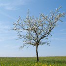 normal_20042011obfwetterhsaktivnews_019.jpg