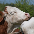 normal_20042011obfwetterhsaktivnews_049.jpg