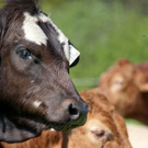 normal_20042011obfwetterhsaktivnews_050.jpg
