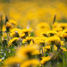 normal_20042011obfwetterhsaktivnews_064.jpg