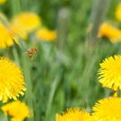 normal_20042011obfwetterhsaktivnews_068.jpg