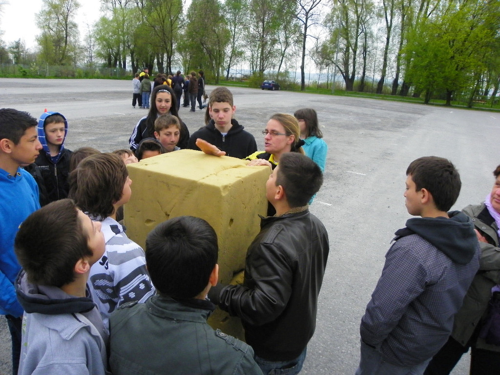 110_1672_JPG-1303488975