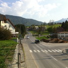 IMG_0442_JPG-1303492743