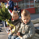 Z Palmweihe Schulhof _6__jpg-1303546521