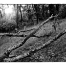 20101005MIK1080.jpg