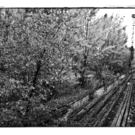 20101006MIK1581.jpg