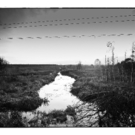ChernobylSB001.jpg