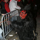 normal_291109freilassingkrampuslaufnm14.jpg