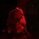 normal_291109freilassingkrampuslaufnm18.jpg