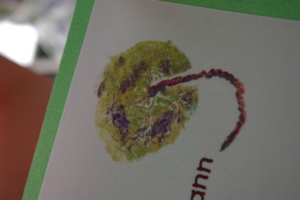 bea_Mairi_Vass 011_jpg-1303556893