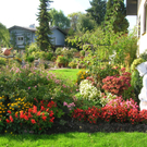 Blumen11_jpg-1303593687