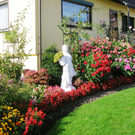 Blumen11a_jpg-1303593805