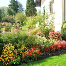 Blumen11c_jpg-1303593948