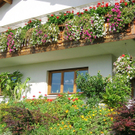 Blumen12aHagen_jpg-1303594101