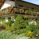 Blumen12bHagen_jpg-1303594167