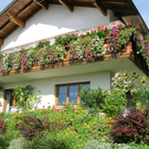 Blumen12Hagen_jpg-1303594396