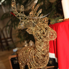 IMG_4617_Gr____enver__nderung.JPG