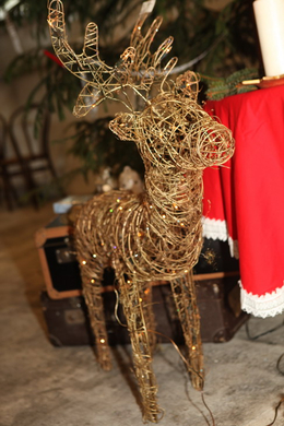 IMG_4617_Gr____enver__nderung.JPG