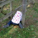 DSC04890_JPG-1303633436