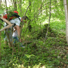 DSC04897_JPG-1303633494