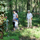 DSC04899_JPG-1303633511