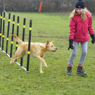 109_6041_JPG-1303635466