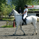 Dressurreiten im Klauser Reitverein Wildfang