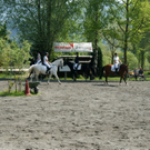 DSC04926_JPG-1303636660
