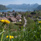 normal_23042011wolfgangseehsaktivnews_004.jpg