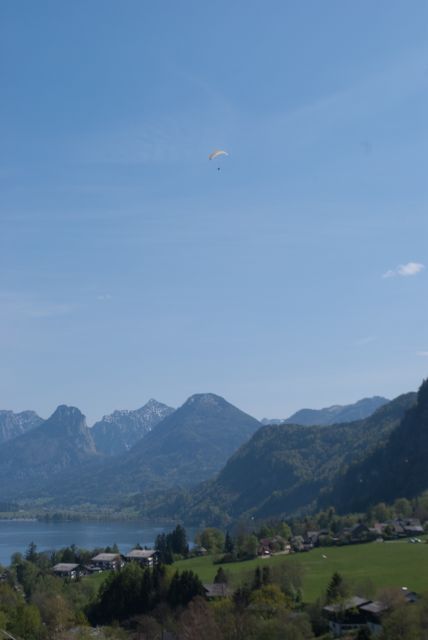 normal_23042011wolfgangseehsaktivnews_006.jpg