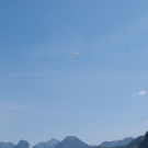 normal_23042011wolfgangseehsaktivnews_006.jpg