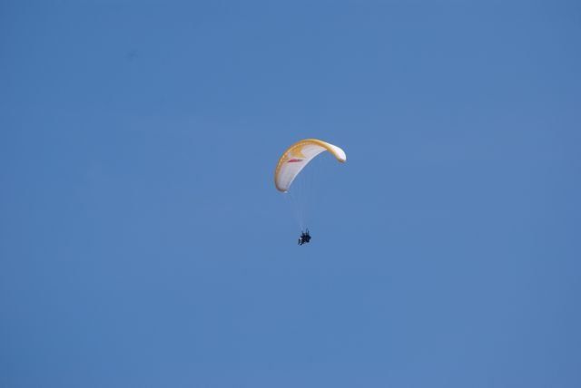 normal_23042011wolfgangseehsaktivnews_007.jpg