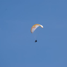 normal_23042011wolfgangseehsaktivnews_007.jpg
