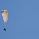 normal_23042011wolfgangseehsaktivnews_011.jpg