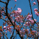 normal_23042011wolfgangseehsaktivnews_014.jpg