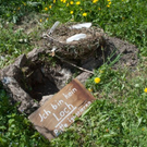 normal_23042011wolfgangseehsaktivnews_017.jpg