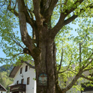 normal_23042011wolfgangseehsaktivnews_020.jpg
