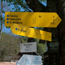 normal_23042011wolfgangseehsaktivnews_021.jpg