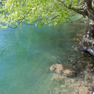 normal_23042011wolfgangseehsaktivnews_024.jpg
