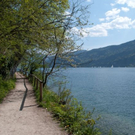 normal_23042011wolfgangseehsaktivnews_025.jpg