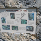 normal_23042011wolfgangseehsaktivnews_029.jpg