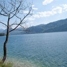normal_23042011wolfgangseehsaktivnews_031.jpg