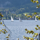 normal_23042011wolfgangseehsaktivnews_032.jpg