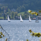 normal_23042011wolfgangseehsaktivnews_033.jpg