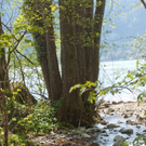 normal_23042011wolfgangseehsaktivnews_045.jpg