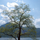 normal_23042011wolfgangseehsaktivnews_047.jpg