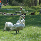 normal_23042011wolfgangseehsaktivnews_048.jpg