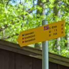 normal_23042011wolfgangseehsaktivnews_052.jpg